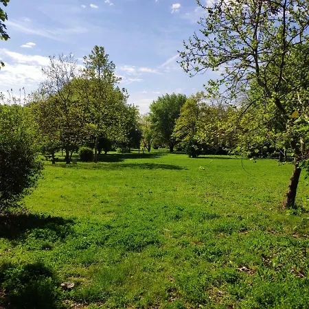 Delux Cote Dagur Apartmán